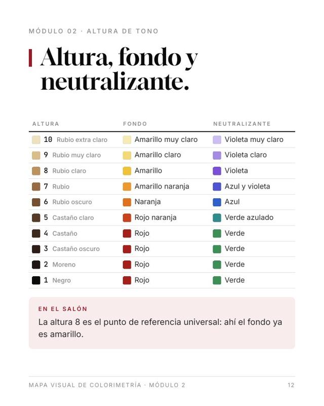 Lámina: altura, fondo y neutralizante