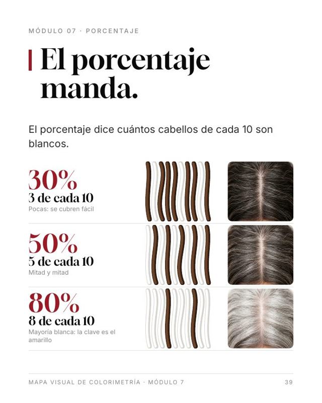 Lámina: el porcentaje de canas